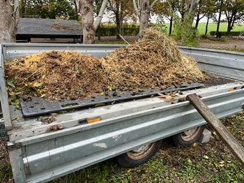 Hestemøg super til at fylde blomster kasser og krukker halvt op med og til ur...