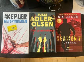 3 bøger: Den Grænseløse, Sektion 7, Netspinderen