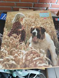 Puslespil 250 brikker, puslespil