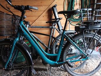 E-fly elcykel. Uden lader. Men kan fås fra 150 og op.  køb idag. så prissen 1000