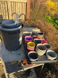 Plast urtepotter i forskellige størrelser og farver