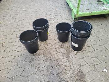 Blomster spande