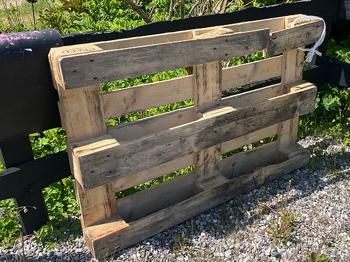 Gratis Palle i 2750 Ballerup
