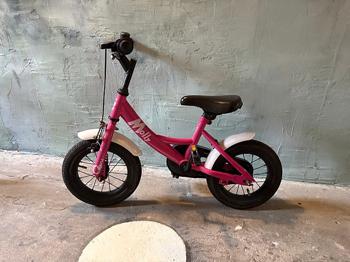Puch - molly