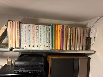 Litteraturhistorie og analysebøger