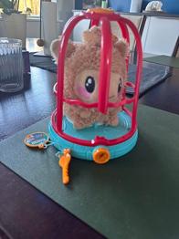 Marsvin kæledyr der kan gentage det du siger