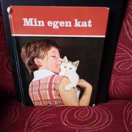 Min egen kat, katteejerfortælling