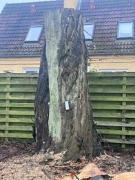 Sten og jord til havebrug