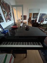 Hornung & Møller flygel