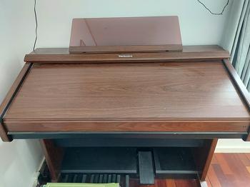 Electronic Orgel  Model: SX-EX35