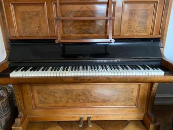 Klaver - gives væk.