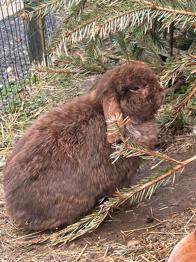 Rune og Ruth søger nyt hjem