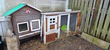 kaninhus træ udendørs