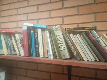 Bøger – blandet samling skønlitteratur og faglitteratur