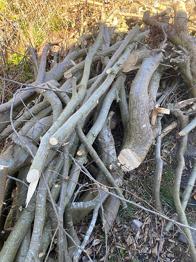 Brænde blandet løv- og nåletræ i hele stammer og grene