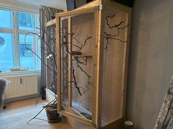 Fuglebur afhentes i København/ Vesterbro