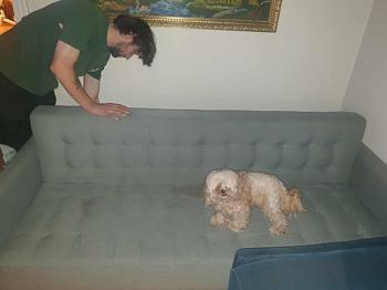 210 cm lang. Gratis sofa