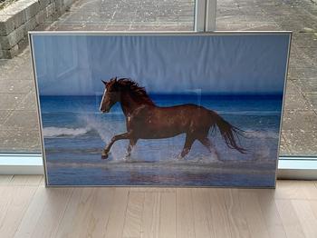 Hesteplakat med ramme