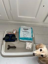 GIVES VÆK - Hundetoilet, puppy pads og hundeudstyr