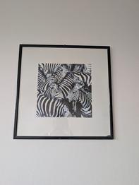 Sæt med 3 zebra plakater i ramme sort/hvid