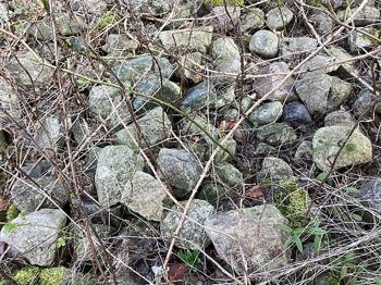 Sten fra gammel gårdsplads