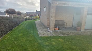 Have fliser 30×30x5