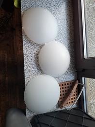 Gamle loftlampe m. LED pære