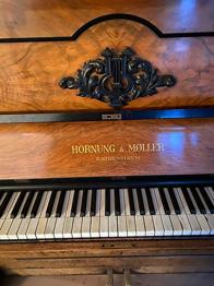 Andet, Hornung og Møller København