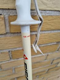 Carvingski, Salomon, str. 173