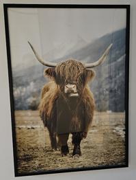 3 plakater i rammer ialt 150kr