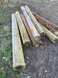 Pæle til dyrehegn eller fold