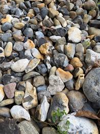 Gives væk små sten, skal selv tages. Hentes gratis i roskilde.