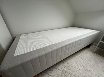 Sultan seng (1 stk).