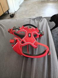 Hent for lidt guf til hunden og os DOG Copenhagen hundesele