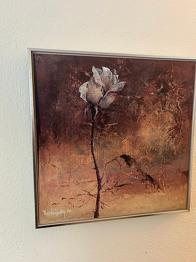 Forskellige billeder gives væk