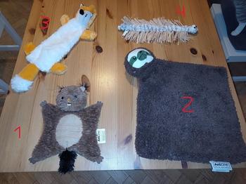 Cat toys and equipment