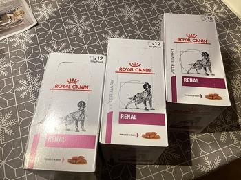 Diæt foder til hund