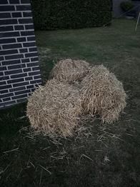 Høballer til dekoration eller dyrefoder