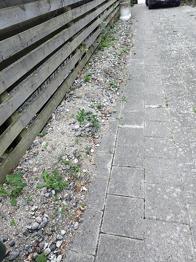 Natursten / vejfyld