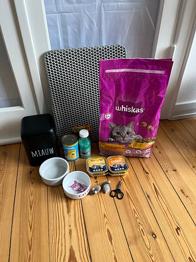 RESERVERET - Katteudstyr og restfoder til kat gives væk