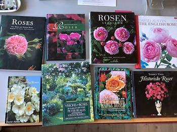 Bøger om roser og Camellia