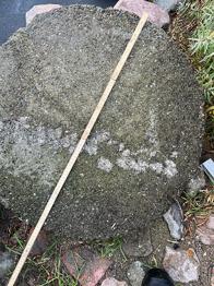 Kloakdæsel i beton kan afhentes