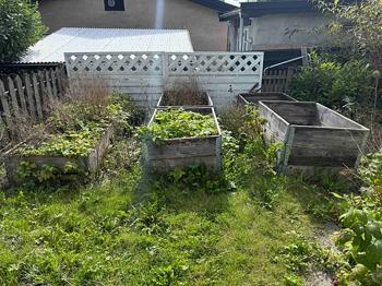 6 solide højbede / plantekasser i træ – sælges samlet