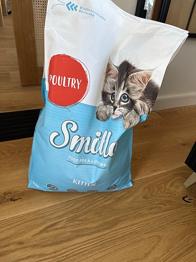 Kattemad til killinger