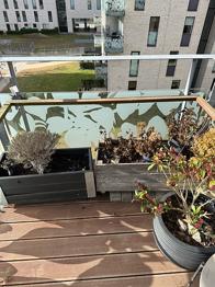 Plantekasser og krukke