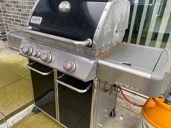 Weber Genesis