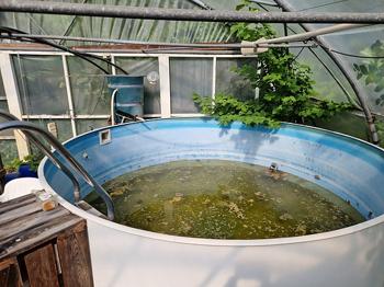 Rund swimmingpool med pumpe og filteranlæg