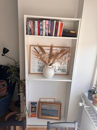 Ikea Billy shelf