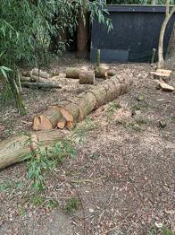 Brænde blandet i stammer