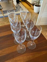 Champagne glas -8 stk